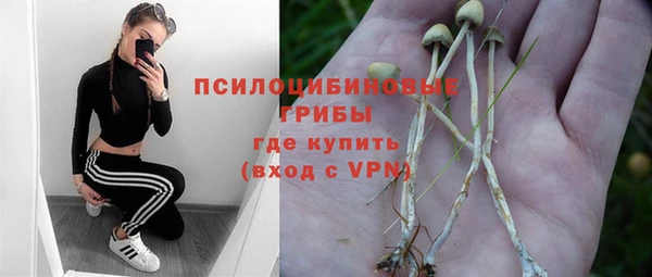 МДМА Бородино